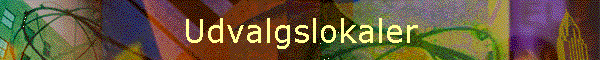 Udvalgslokaler